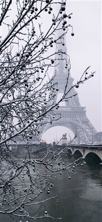 Snowy Paris Coeur iPhone 11 wallpaper