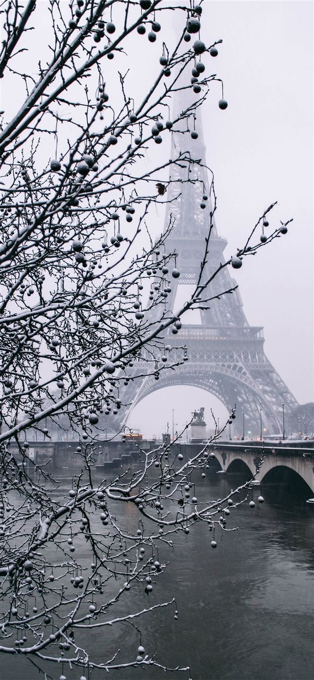 1125x2436 Snowy Paris Coeur - paris iPhone 11 Wallpaper