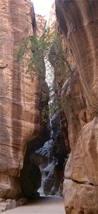 the entrance to petra jordan and background wallpaper