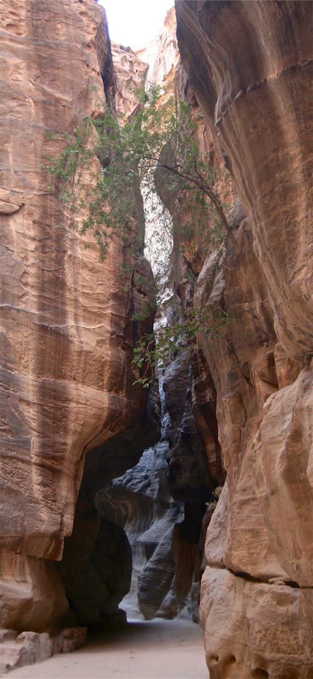 1125x2436 the entrance to petra jordan and background - southern jordan iPhone 11 Wallpaper
