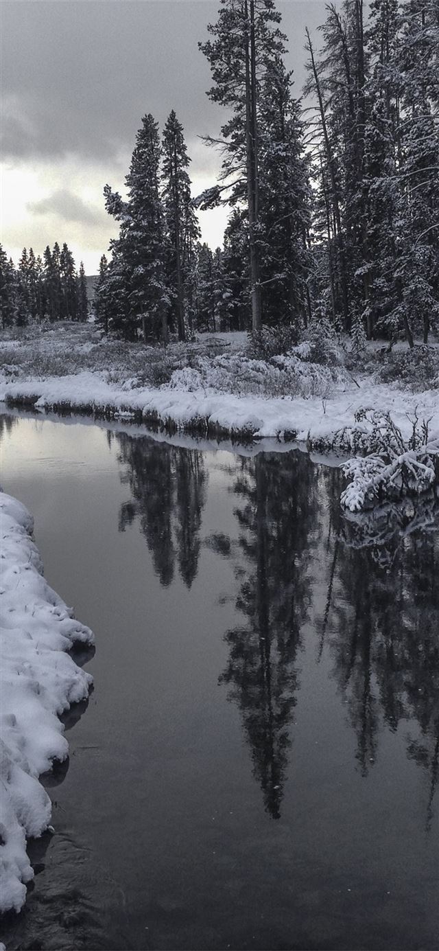 1125x2436 yellowstone national park wyoming usa Samsung Gala... - 100 most beautiful places to visit iPhone 11 Wallpaper