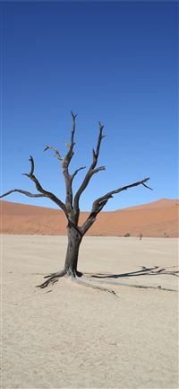 Namib Desert wallpaper