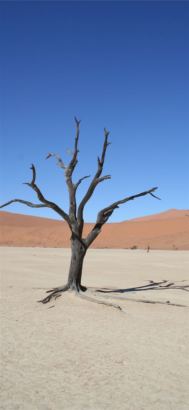 1125x2436 Namib Desert - southwestern africa iPhone 11 Wallpaper