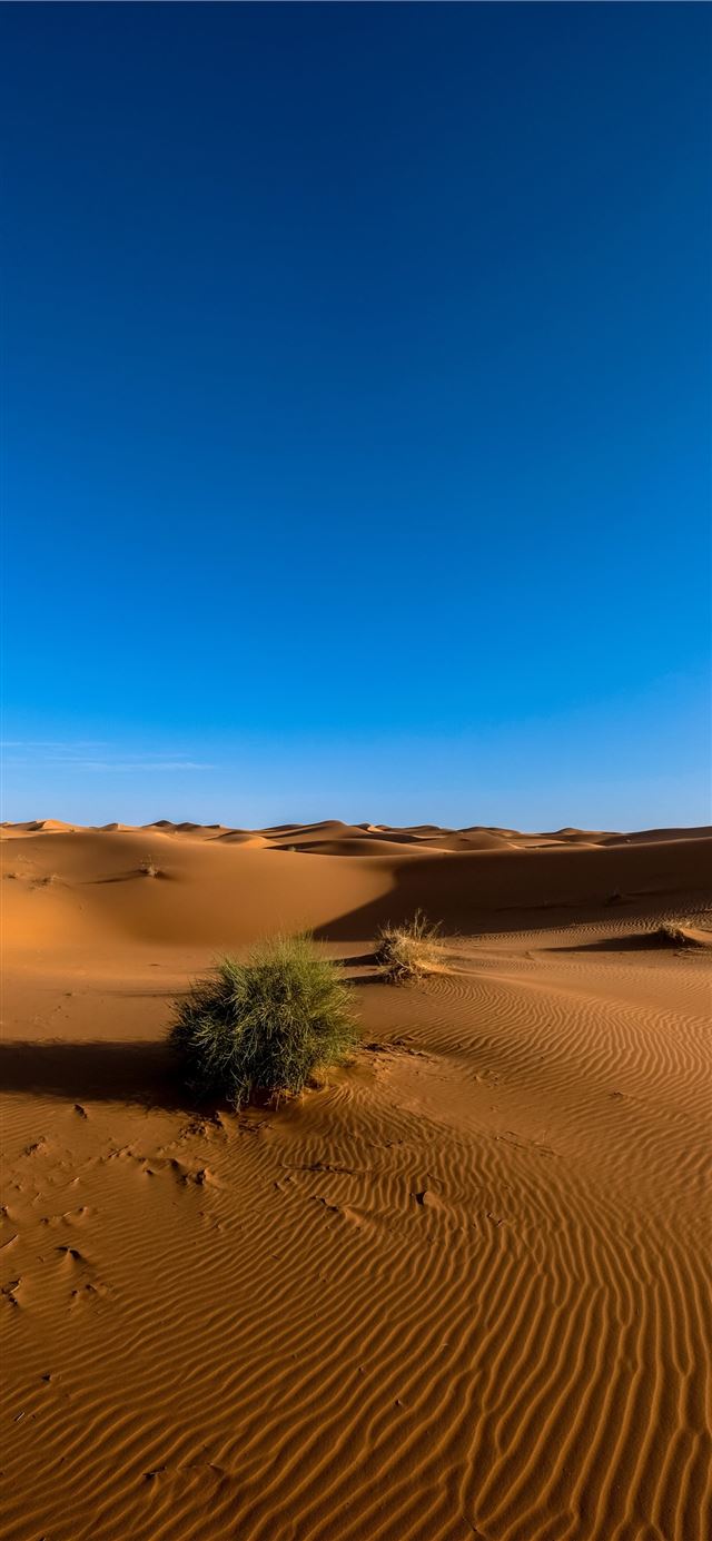 1125x2436 Namib Desert - southwestern africa iPhone 11 Wallpaper