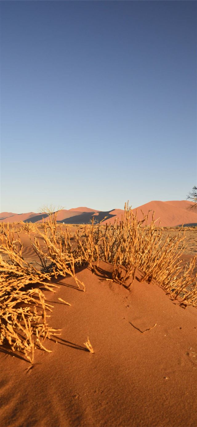 1125x2436 Namib Desert - southwestern africa iPhone 11 Wallpaper