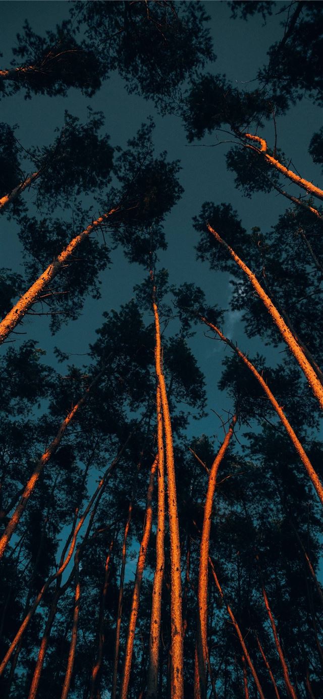 1125x2436 Angel Falls - venezuela iPhone 11 Wallpaper