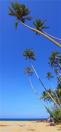 Beach Caribbean Barbados Coast sea beach free imag... wallpaper