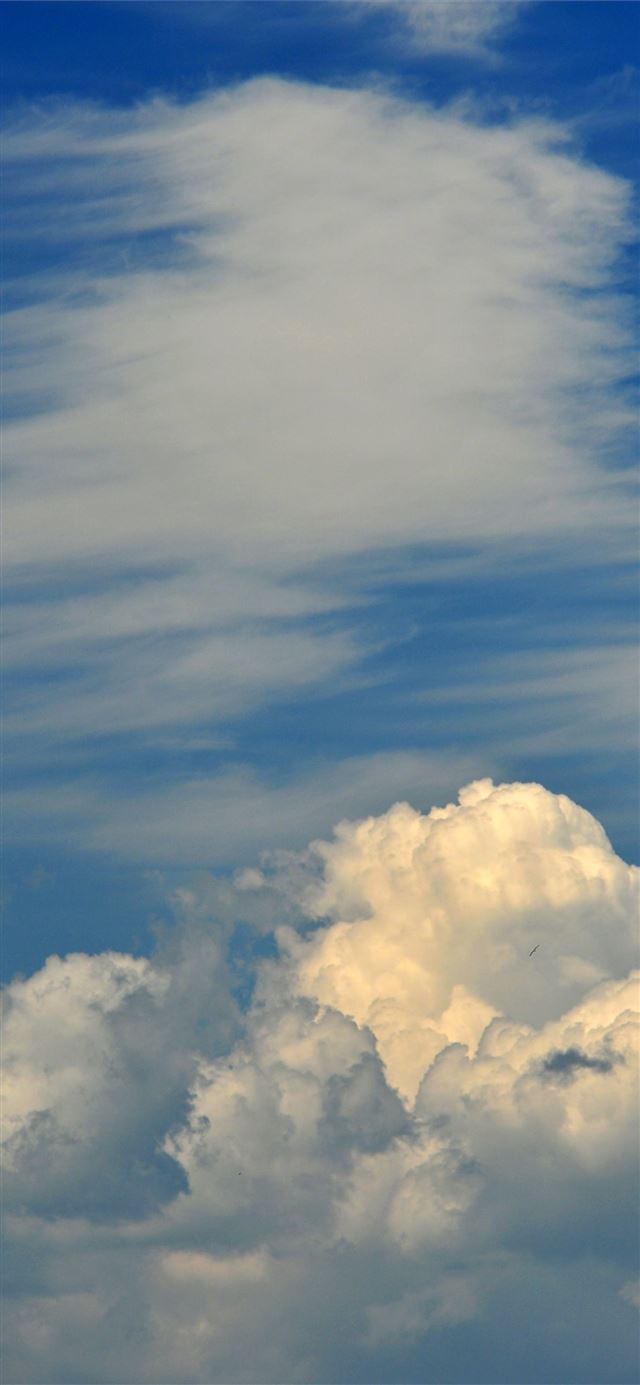 1125x2436 Barbados - barbados iPhone 11 Wallpaper