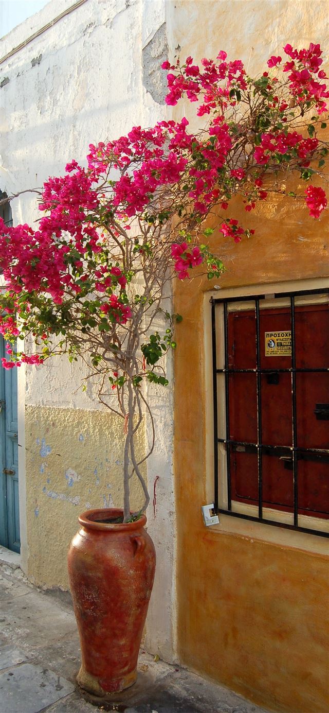 1125x2436 santorini greece and background - greece iPhone 11 Wallpaper