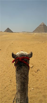 Great Pyramid of Giza wallpaper