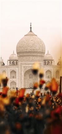 ITAP The Taj Mahal Peeking Through PicOfTheDay iPhone 11 wallpaper