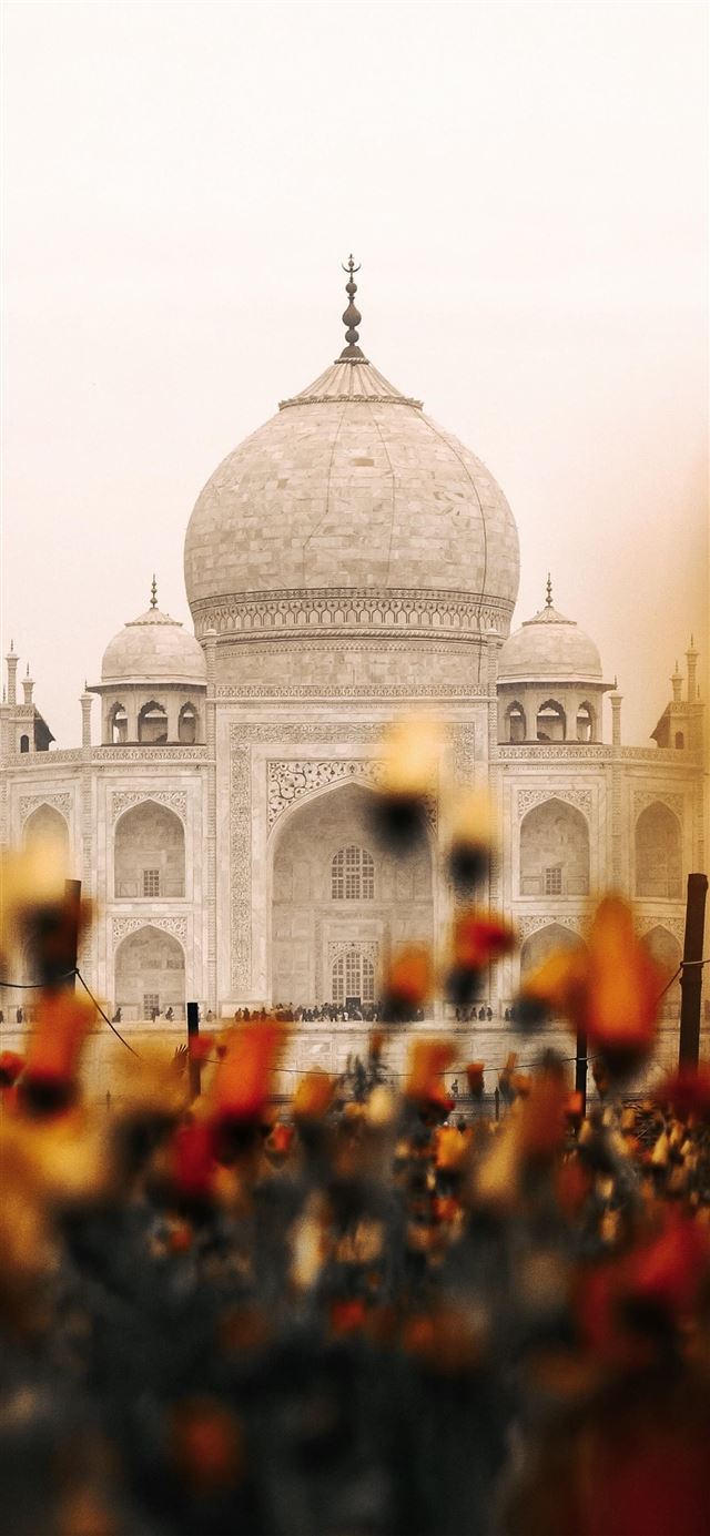 1125x2436 ITAP The Taj Mahal Peeking Through PicOfTheDay - taj mahal iPhone 11 Wallpaper