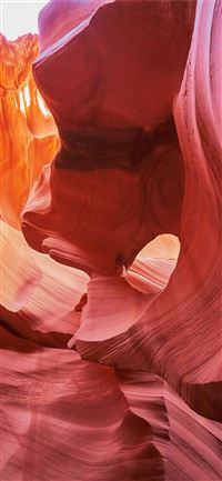 Orange Pictures wallpaper