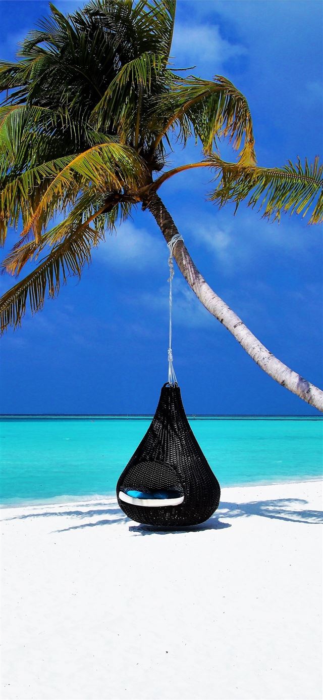 1125x2436 maldives islands palm tree travel - 100 most beautiful places to visit iPhone 11 Wallpaper