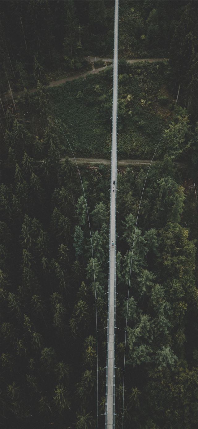 1125x2436 aerial photography of field with trees - people iPhone 11 Wallpaper