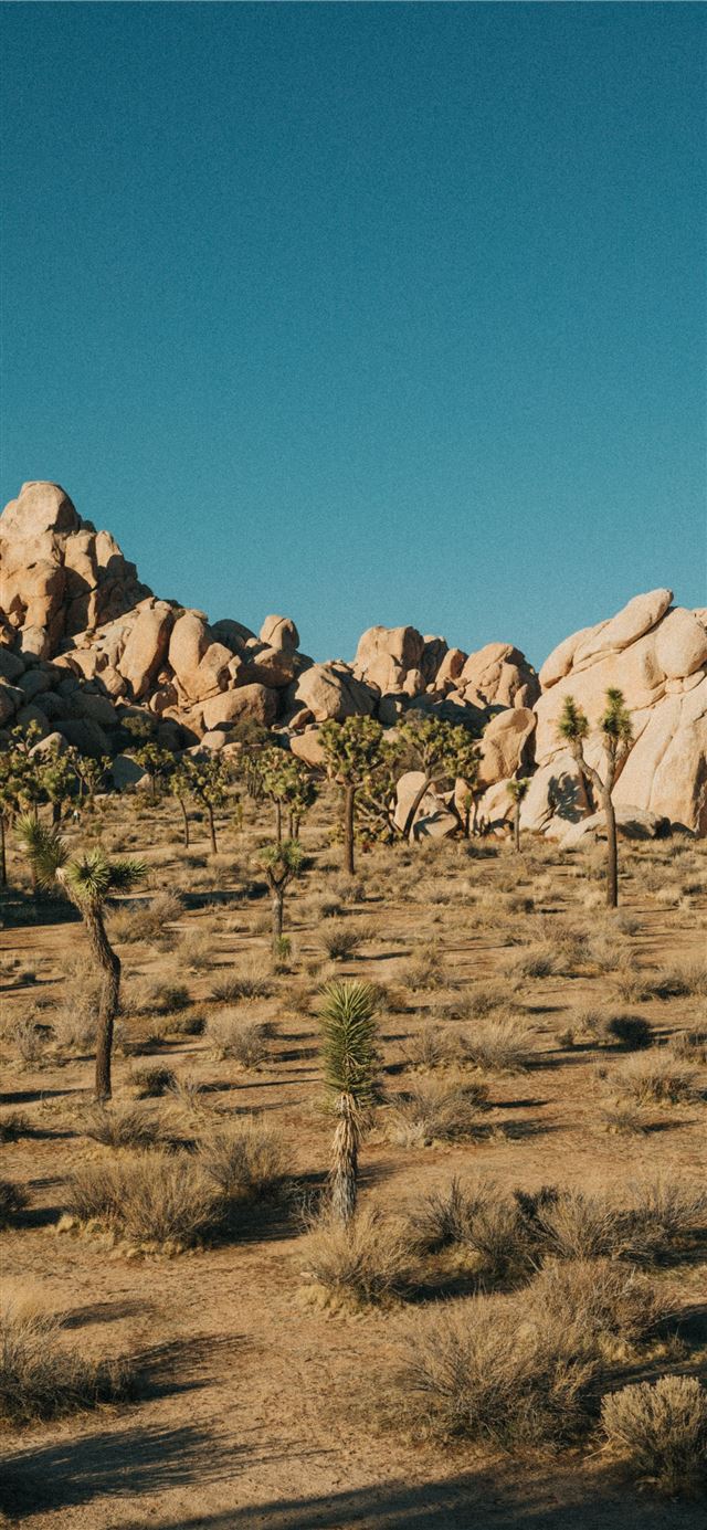 1125x2436 brown rock formation under blue sky during daytime - blue iPhone 11 Wallpaper