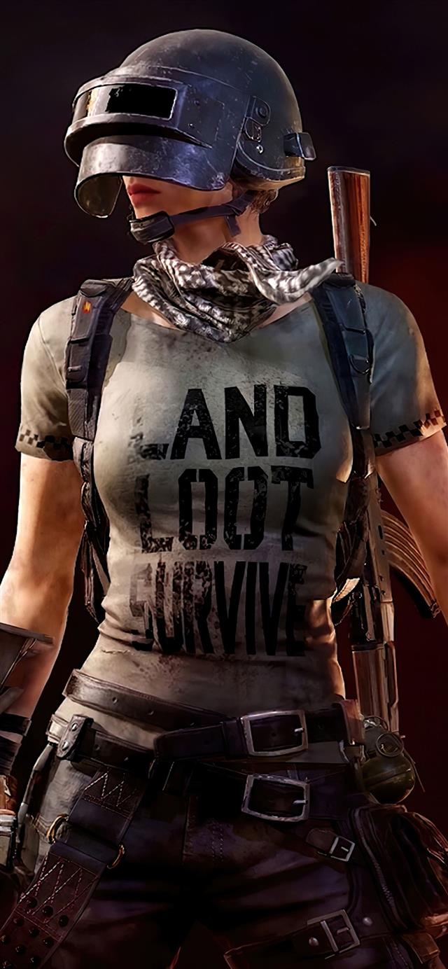 1125x2436 pubg land loot survive -  iPhone 11 Wallpaper