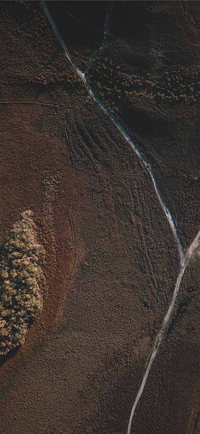 1125x2436 aerial photography of brown field during daytime - unnamed road iPhone 11 Wallpaper