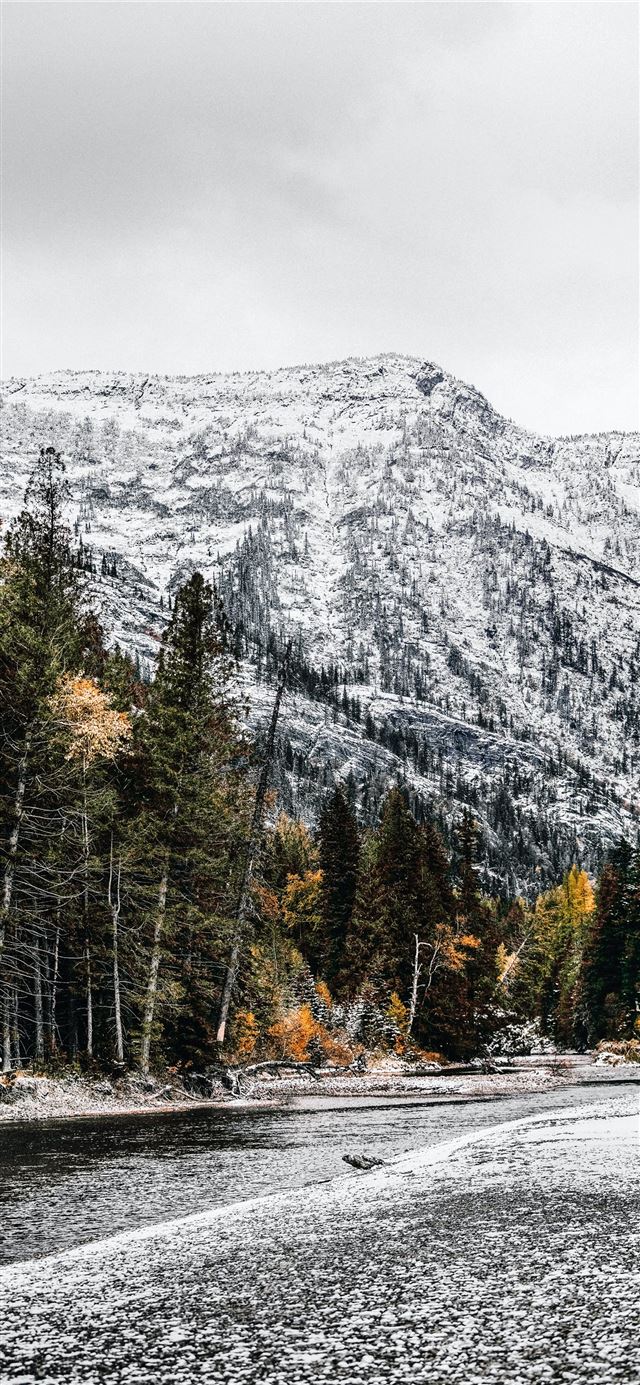 1125x2436 Sony a7iii 70 200 canon 2 8 - nature iPhone 11 Wallpaper
