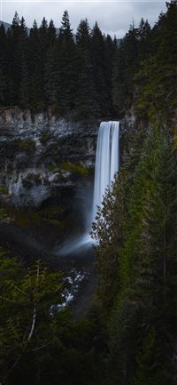 time lapse photography of waterfalls by trees unde... iPhone 11 wallpaper