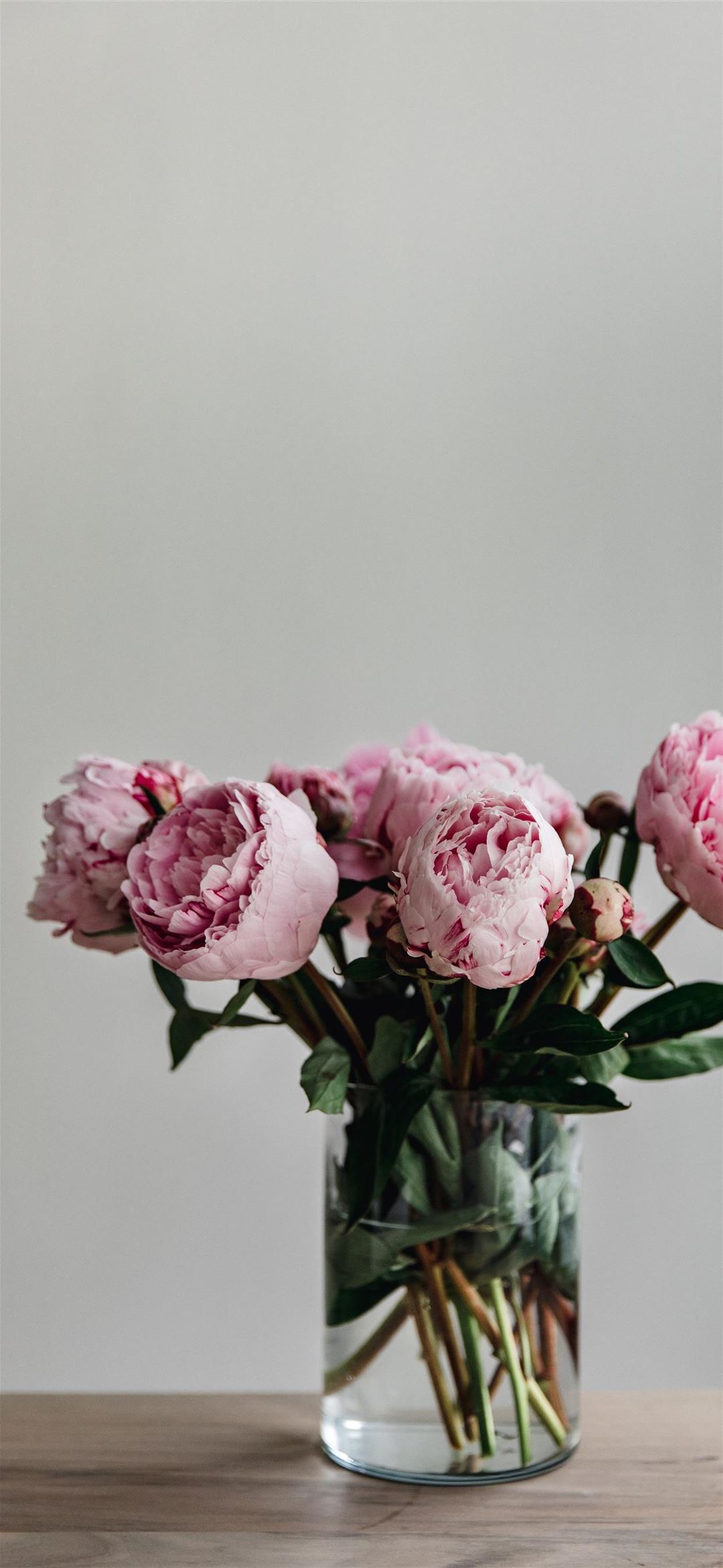 This simple image of a bunch of peonies in a vase iPhone Wallpapers
