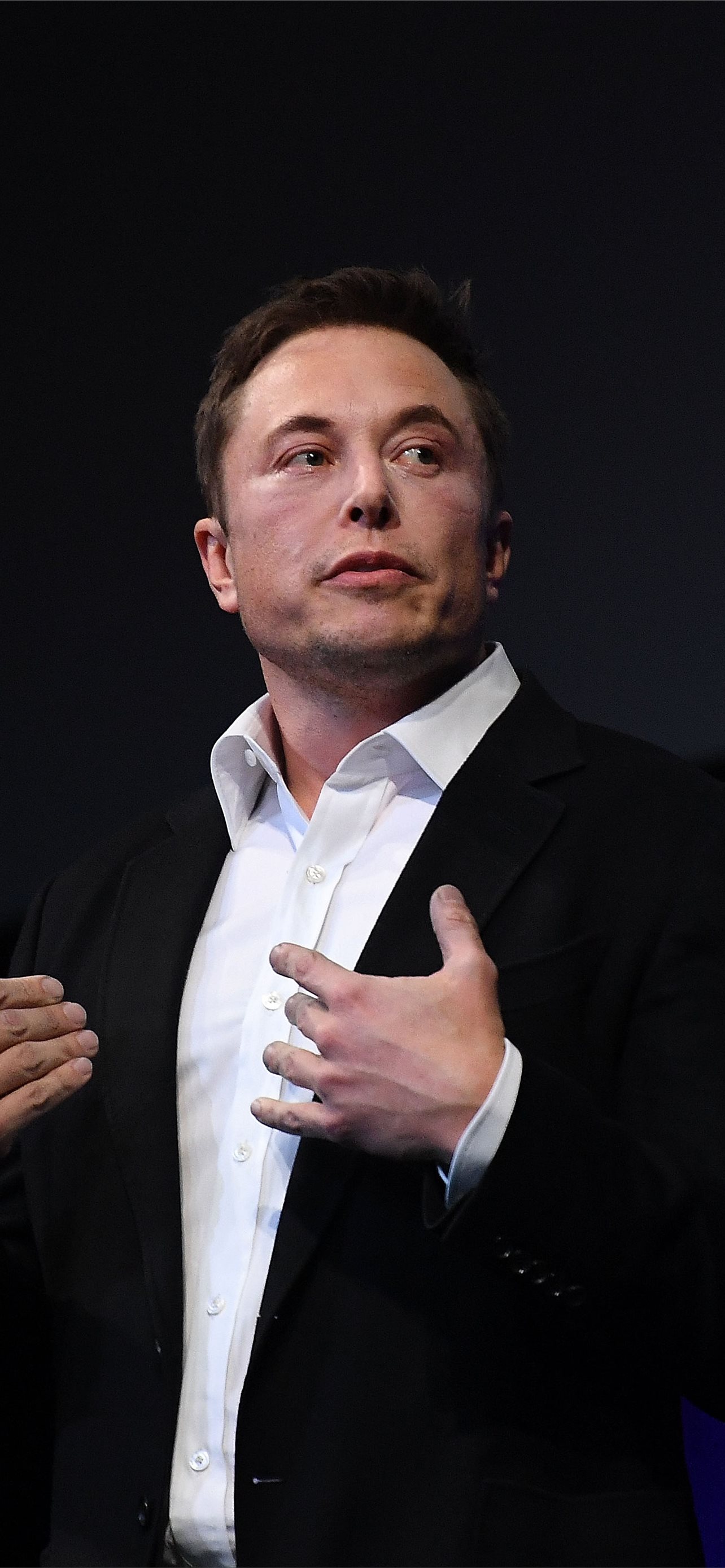 Download Elon Musk We Trust Fan Art Wallpaper  Wallpaperscom