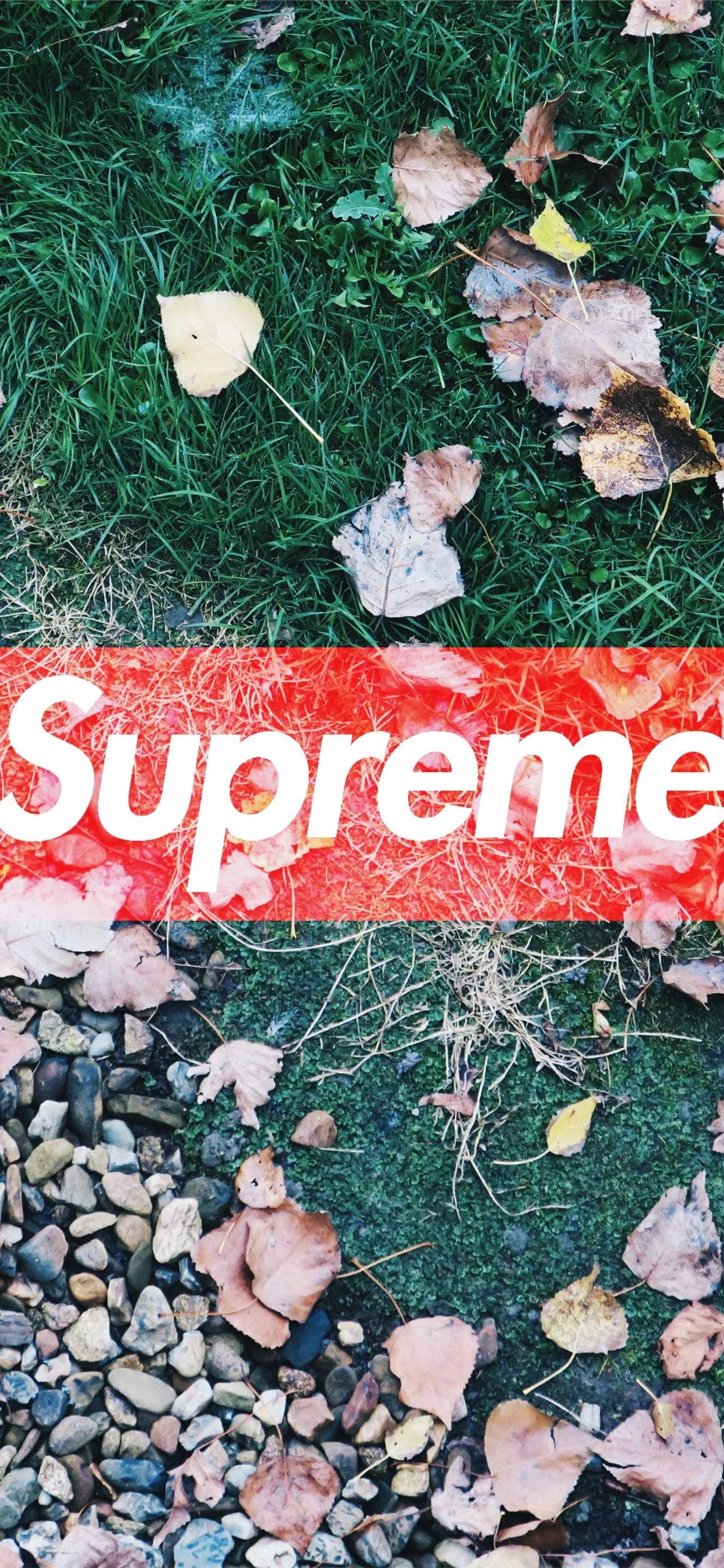 Best Supreme iPhone HD Wallpapers - iLikeWallpaper