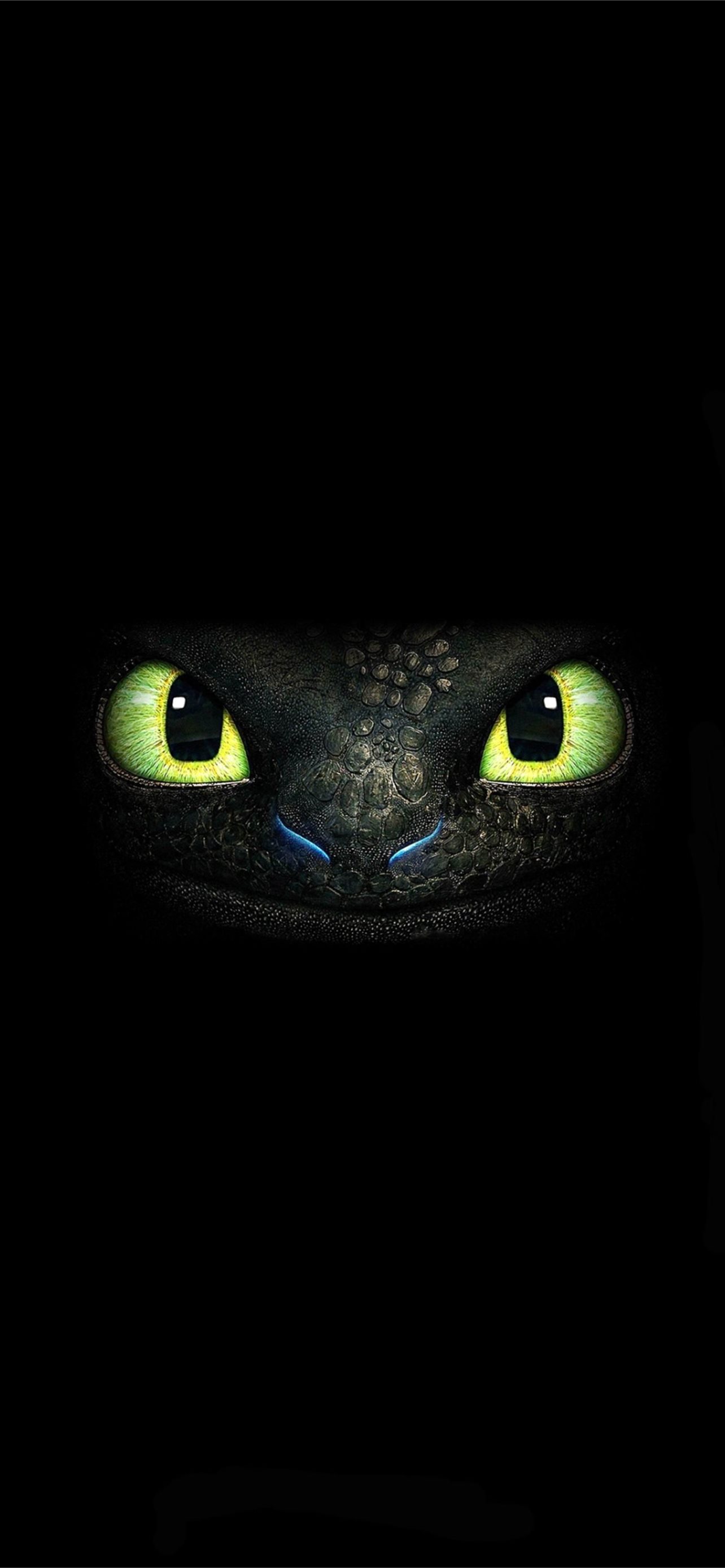 Best How to train your dragon iPhone HD Wallpapers - iLikeWallpaper