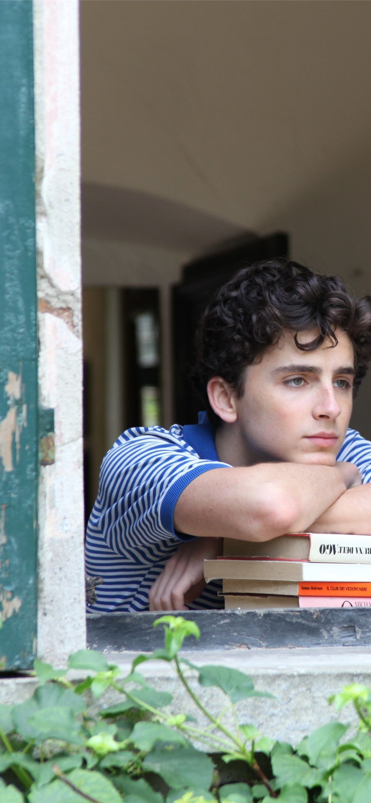 Best Call me by your name iPhone, Call of the Night, HD phone