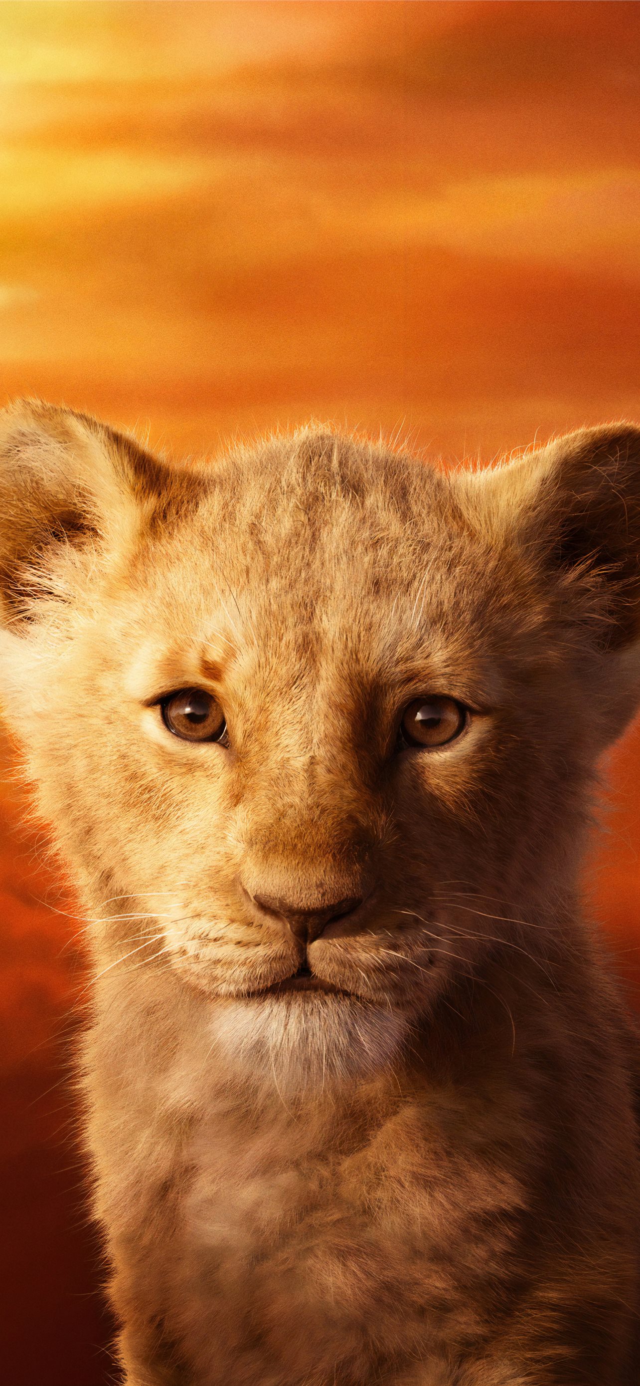 Best The lion king iPhone HD Wallpapers - iLikeWallpaper