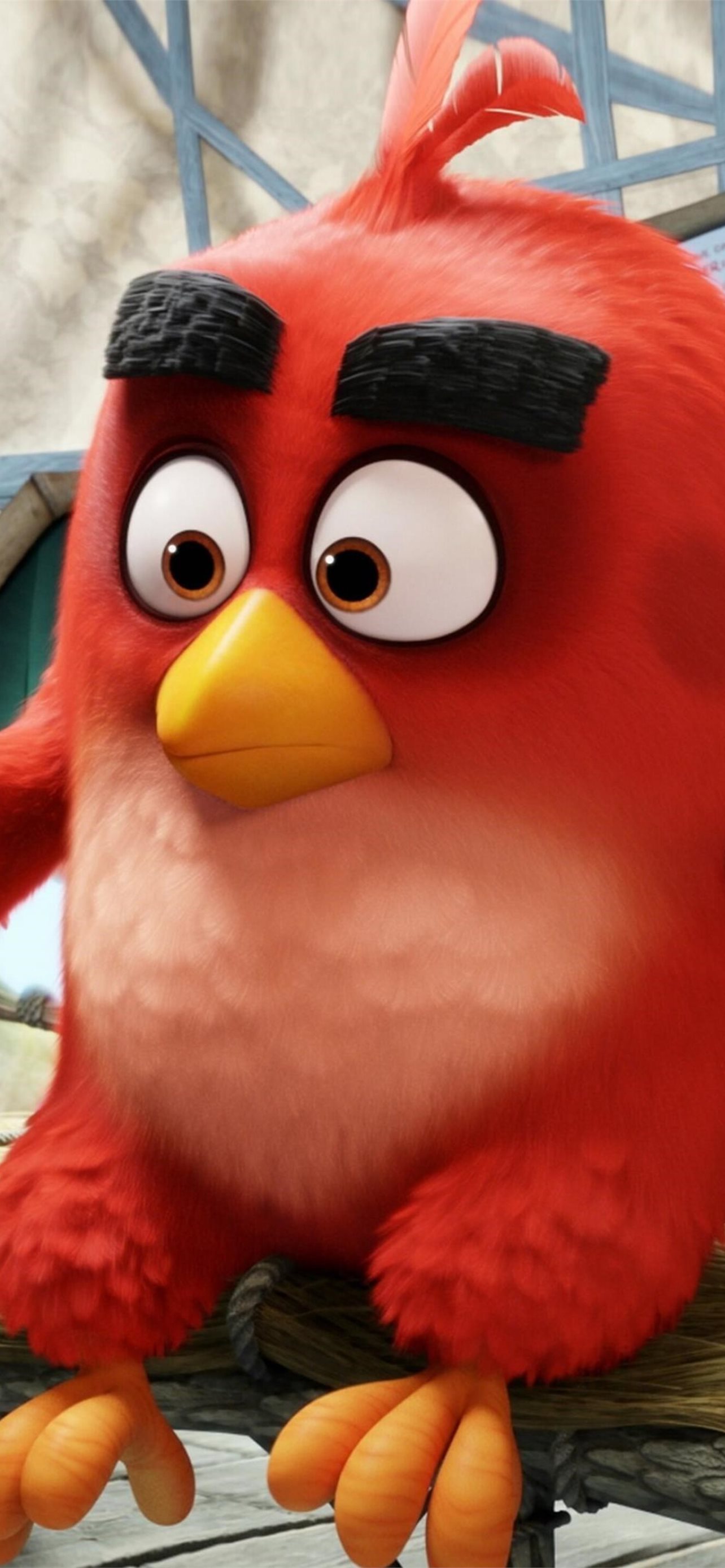 The Angry Birds Movie (2016) , iPhone & iPad, Red HD phone wallpaper |  Pxfuel