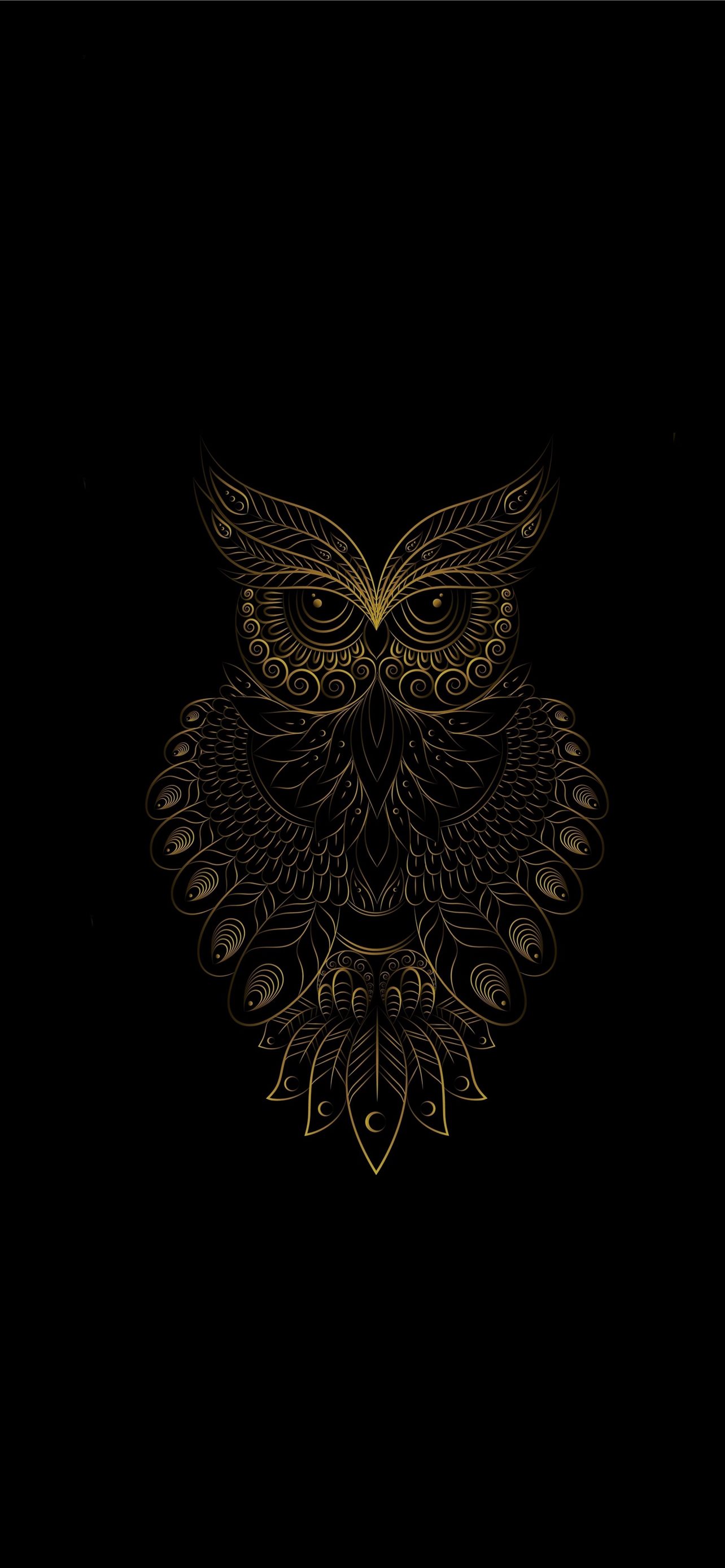 HD wallpaper: multicolored owl illustration, the dark background, paint,  minimalism | Wallpaper Flare