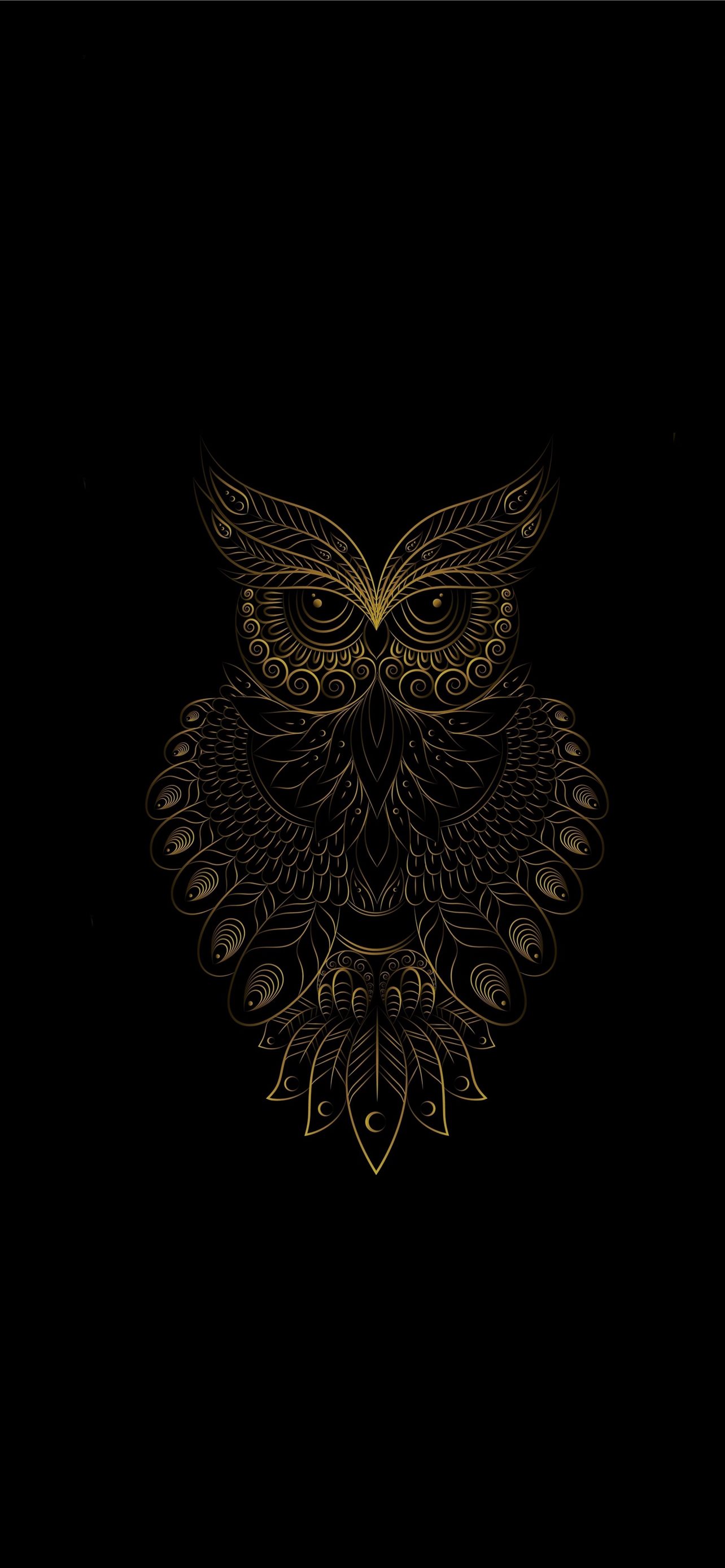 Owl Background 4K Wallpaper iPhone HD Phone 170i