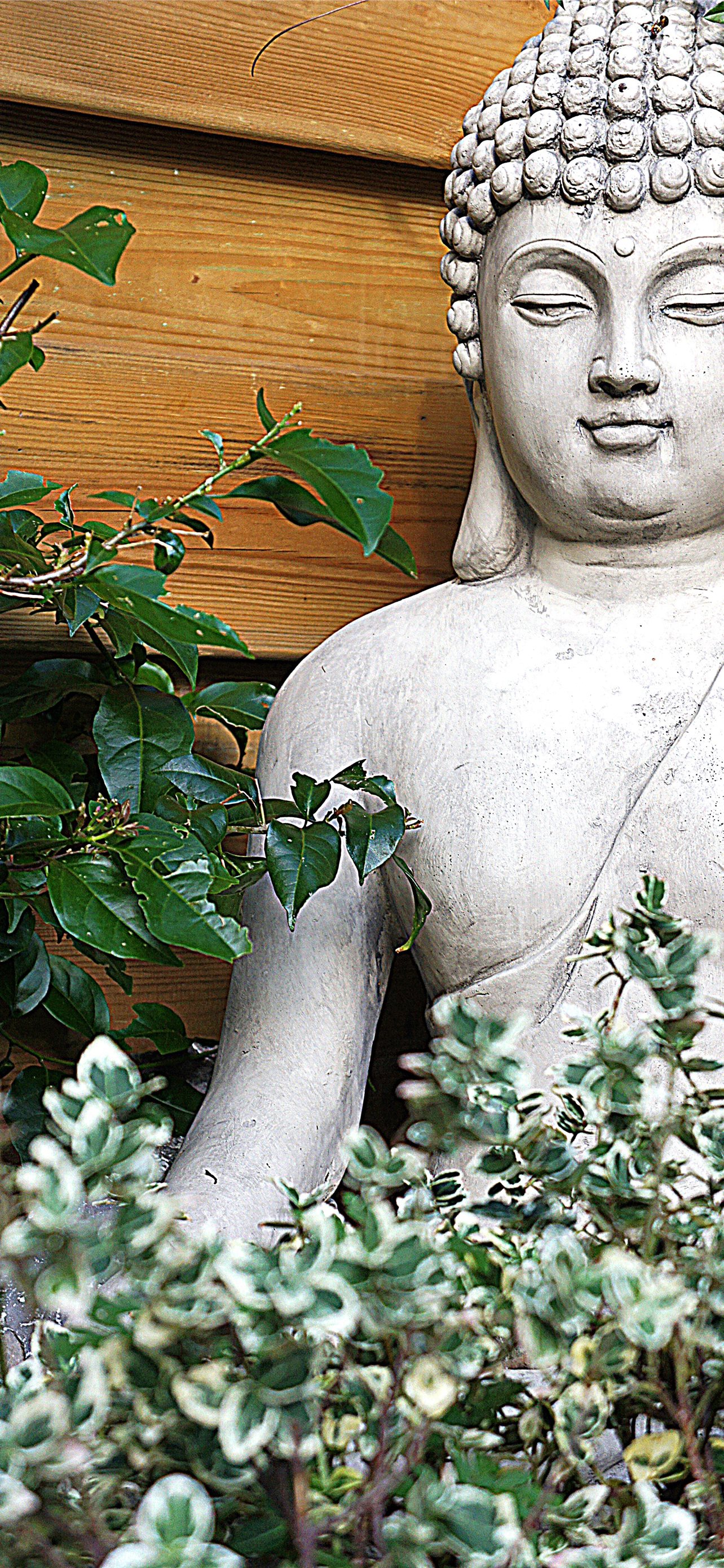 HD White Buddha Nature Scene Water Plants Wallpaper Home or Business –  beddingandbeyond.club