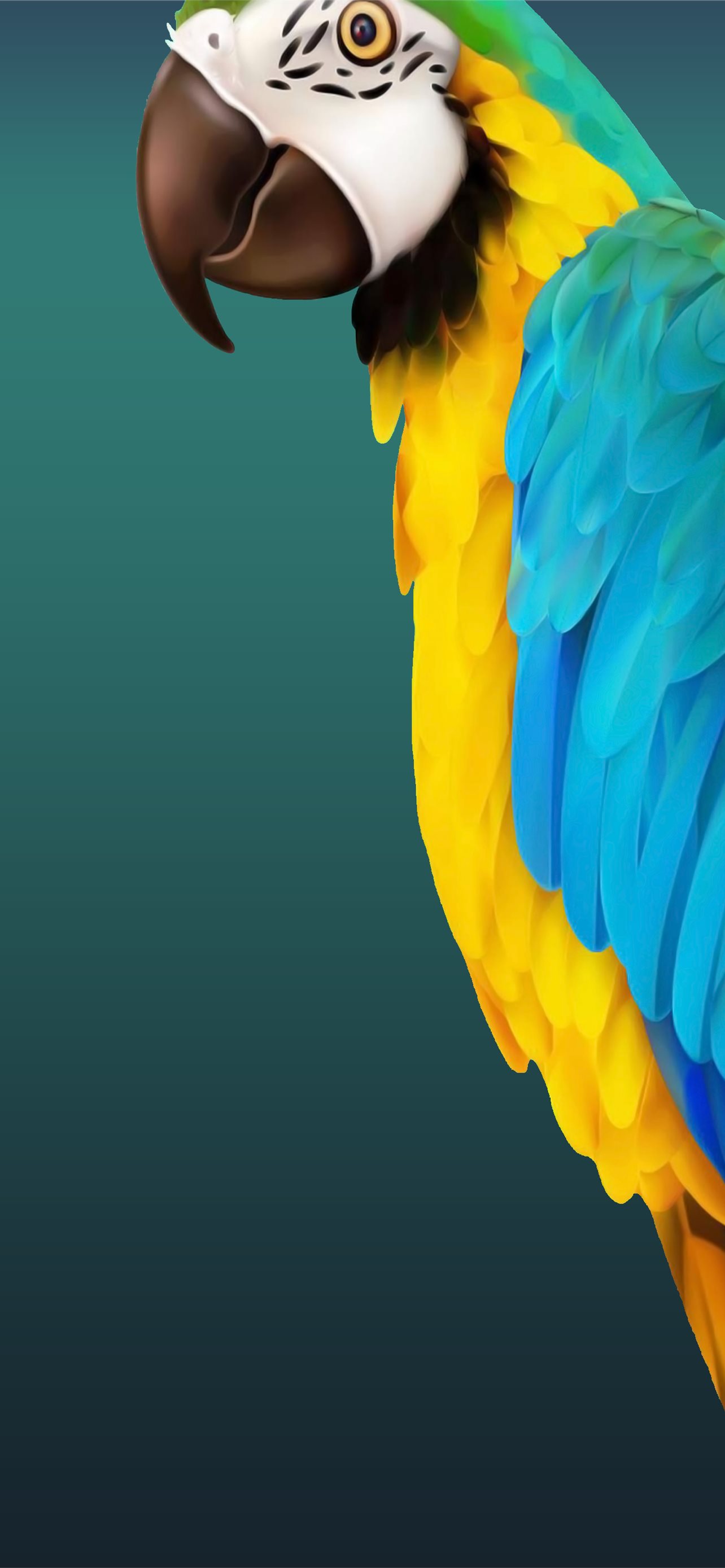 Best Parrot iPhone HD Wallpapers - iLikeWallpaper