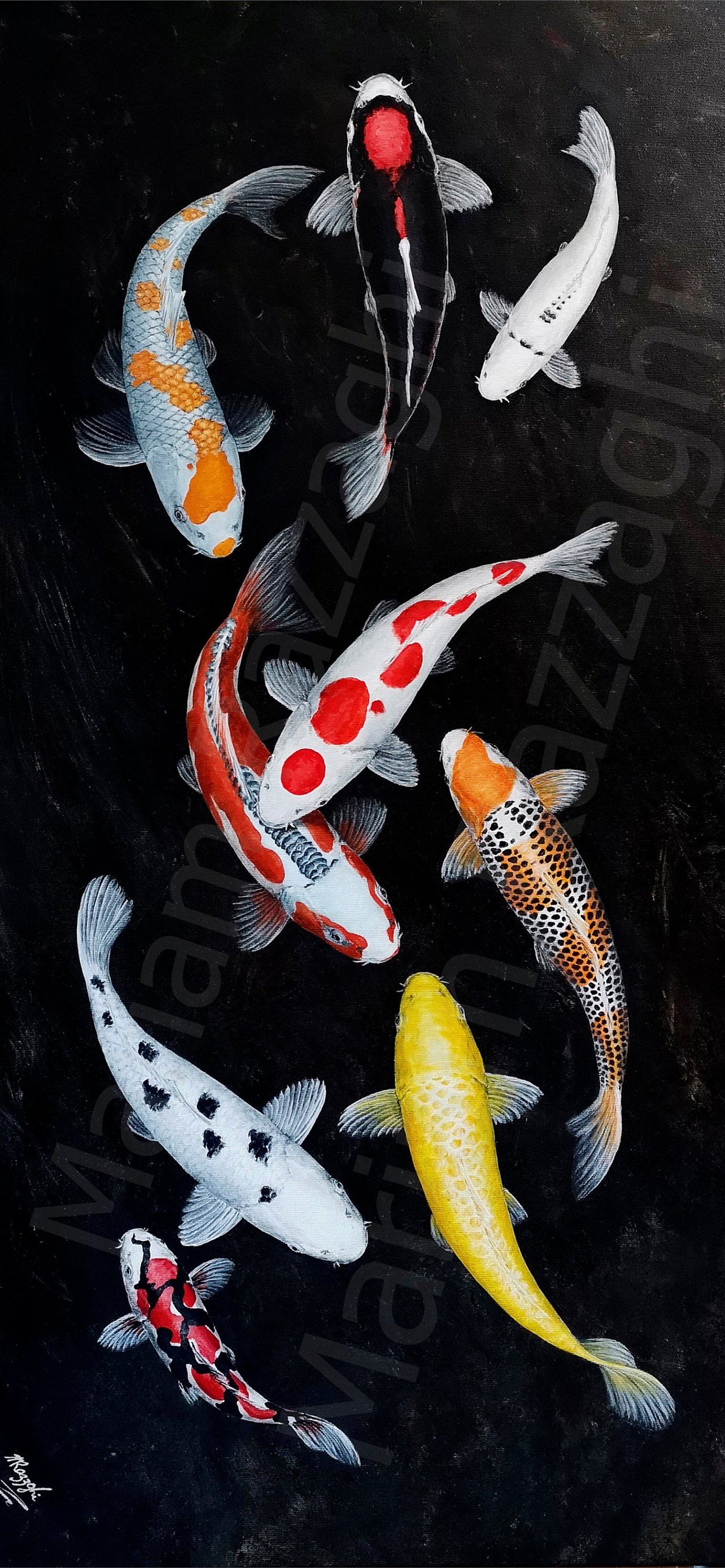 Download Goldfish Background  Wallpaperscom