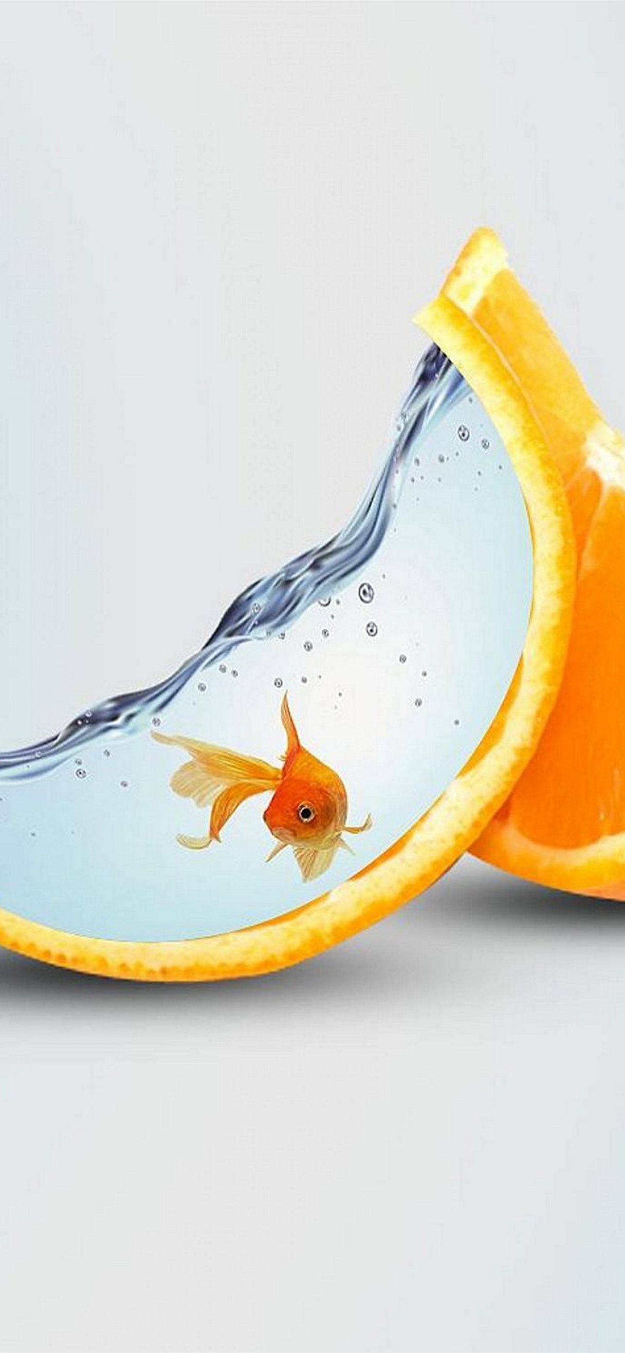 268584 Koi Aquarium Fish Goldfish Orange Huawei Enjoy Z 5G full hd  wallpaper 1080x2400  Rare Gallery HD Wallpapers