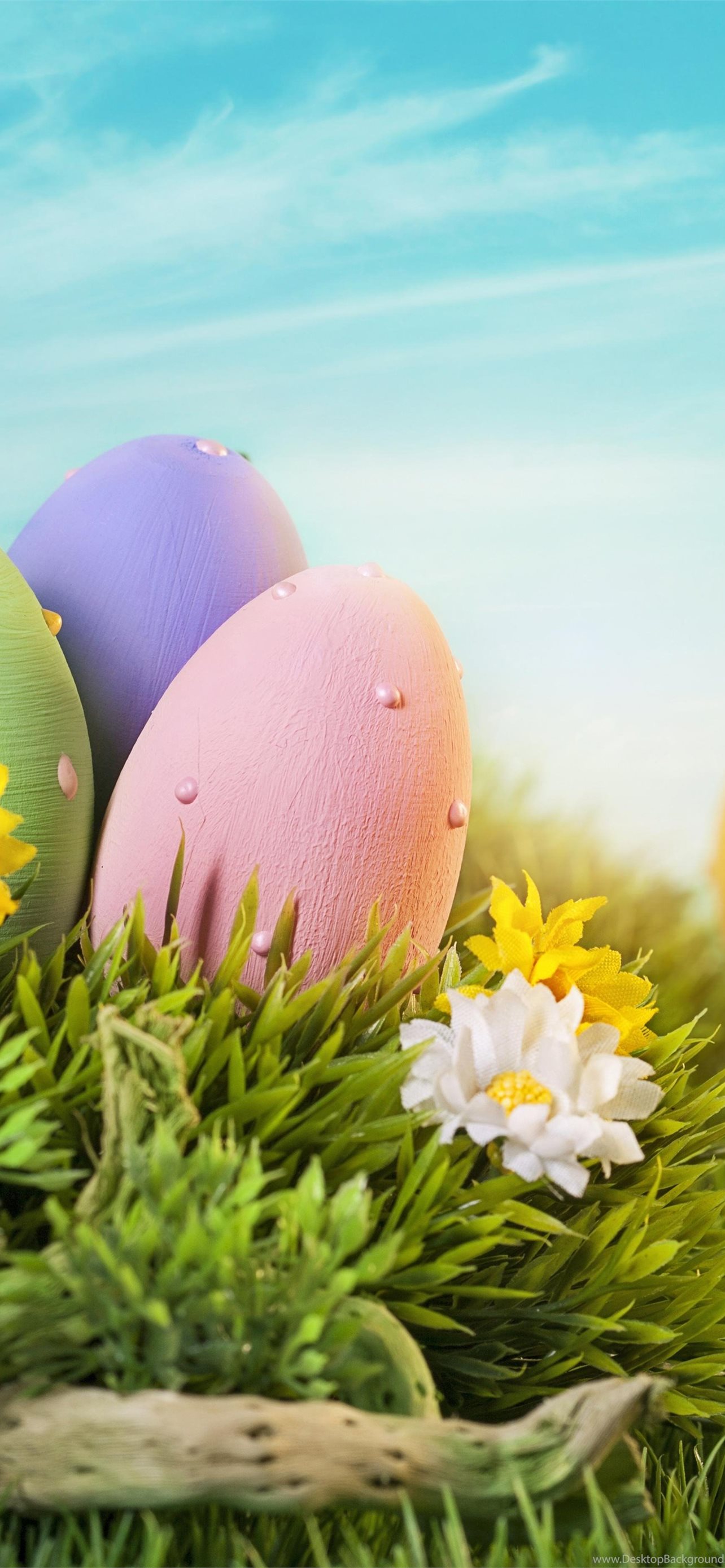 Download Pastel Easter Eggs IPhone Wallpaper Wallpaper  Wallpaperscom