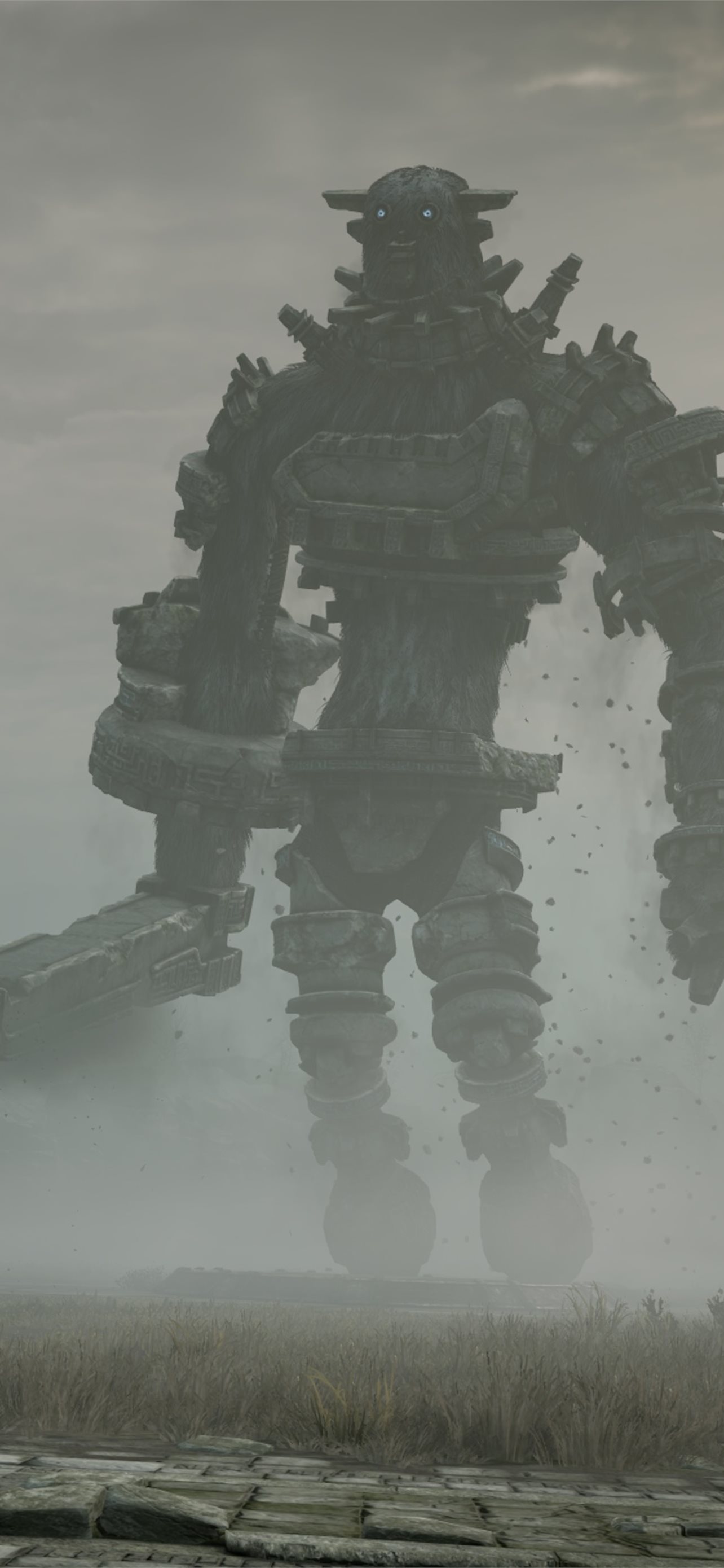Shadow Of The Colossus 8k Sony Xperia X XZ Z5 Prem iPhone Wallpapers  Free Download