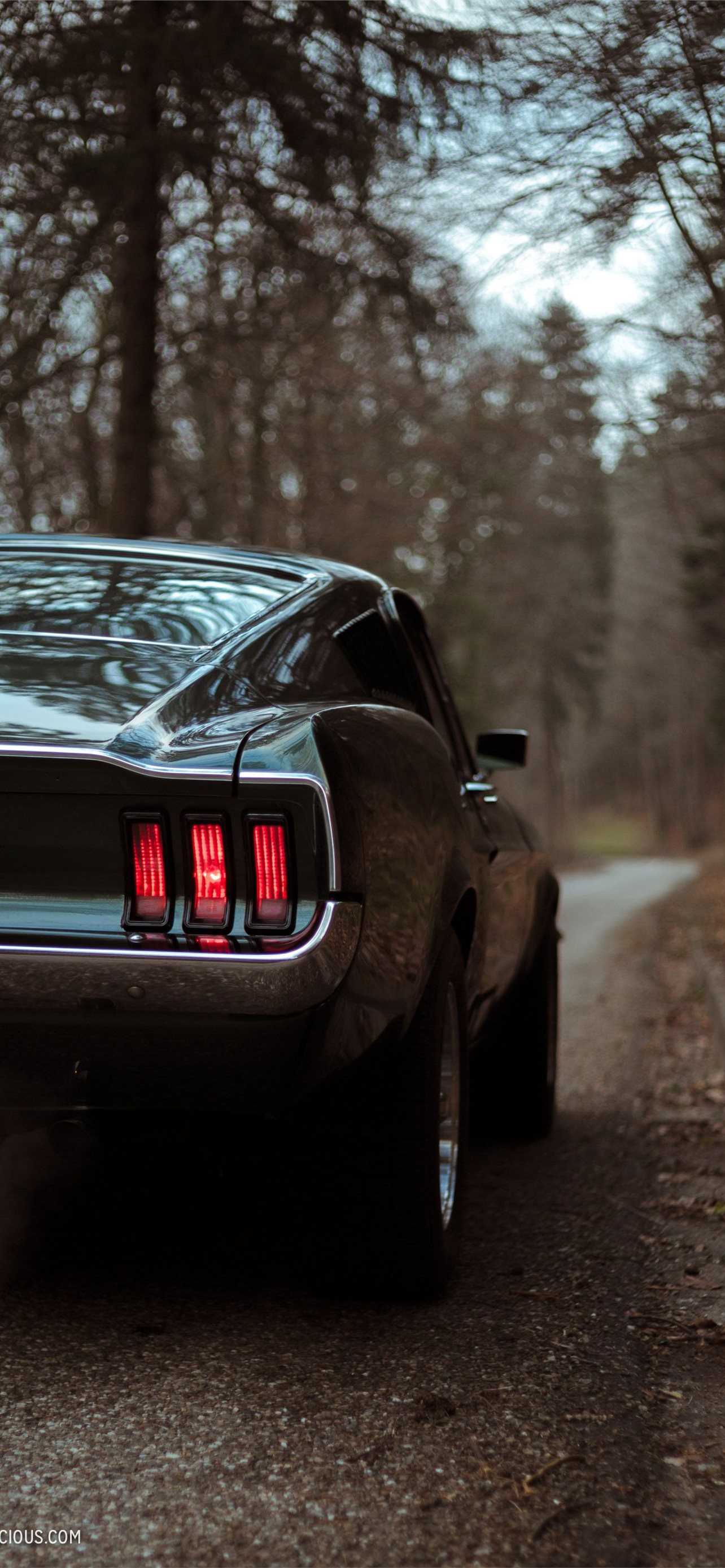Best Ford mustang boss 429 iPhone HD