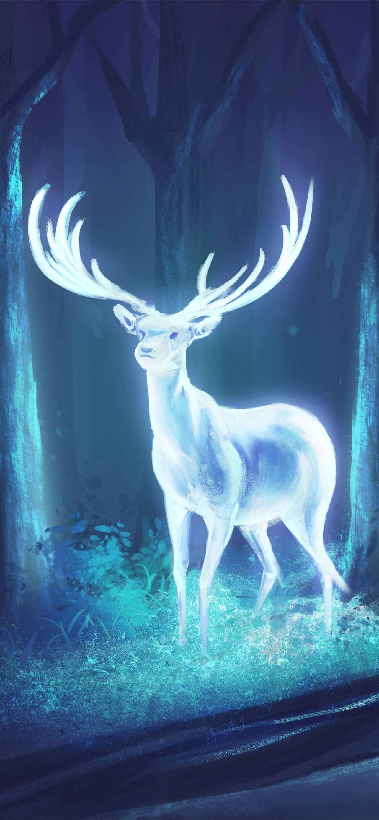 HD deer wallpapers  Peakpx