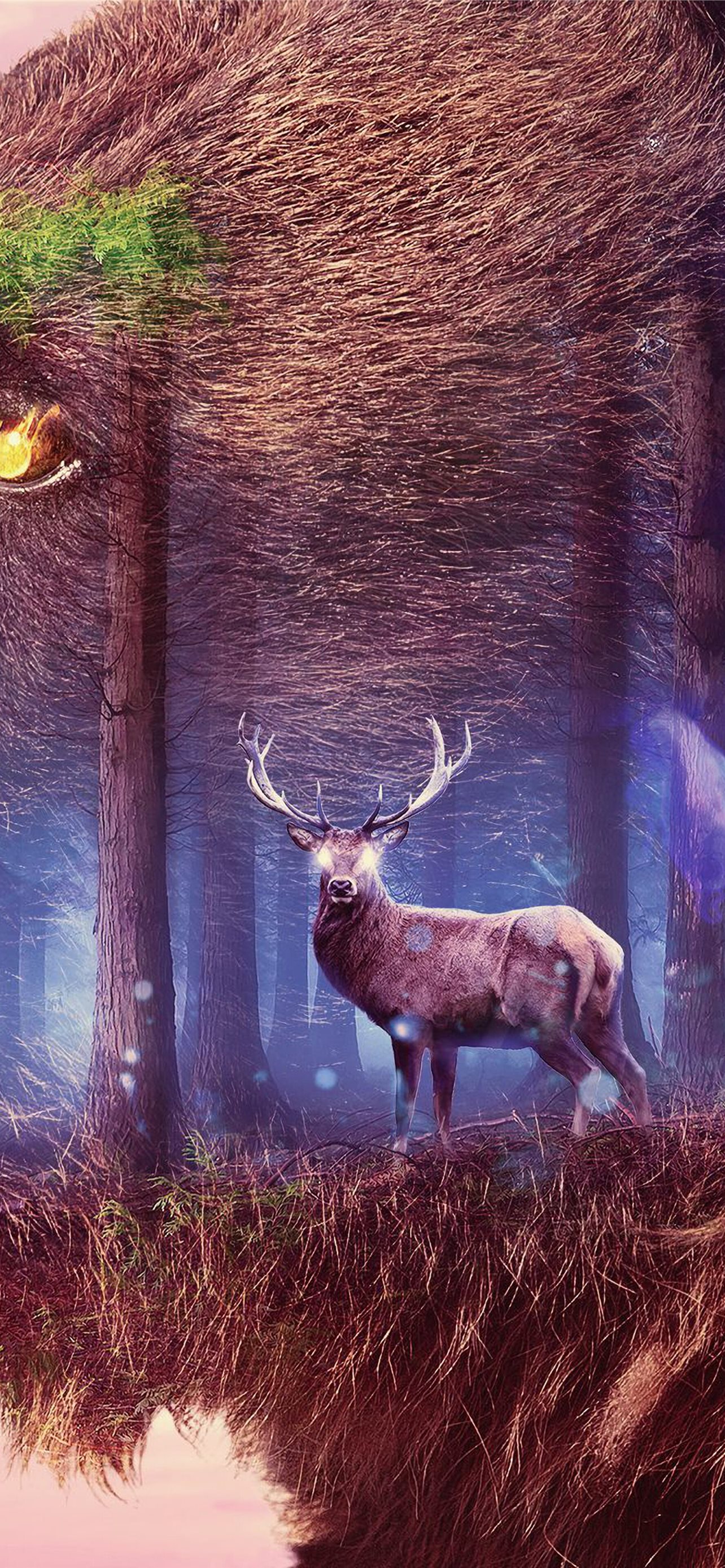Wallpaper ID 300391  Animal Elk Phone Wallpaper Sunset Deer Buck  1536x2048 free download