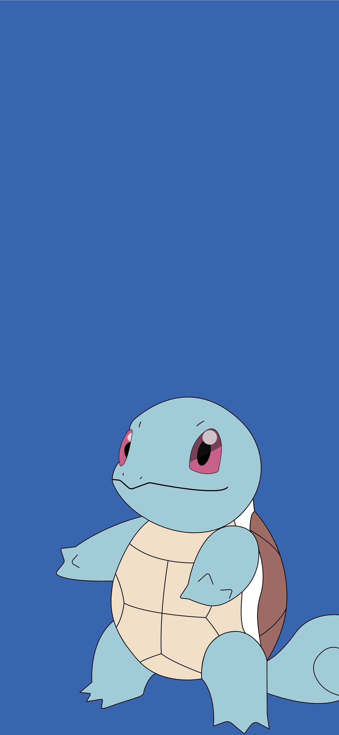 100 Squirtle Pictures  Wallpaperscom