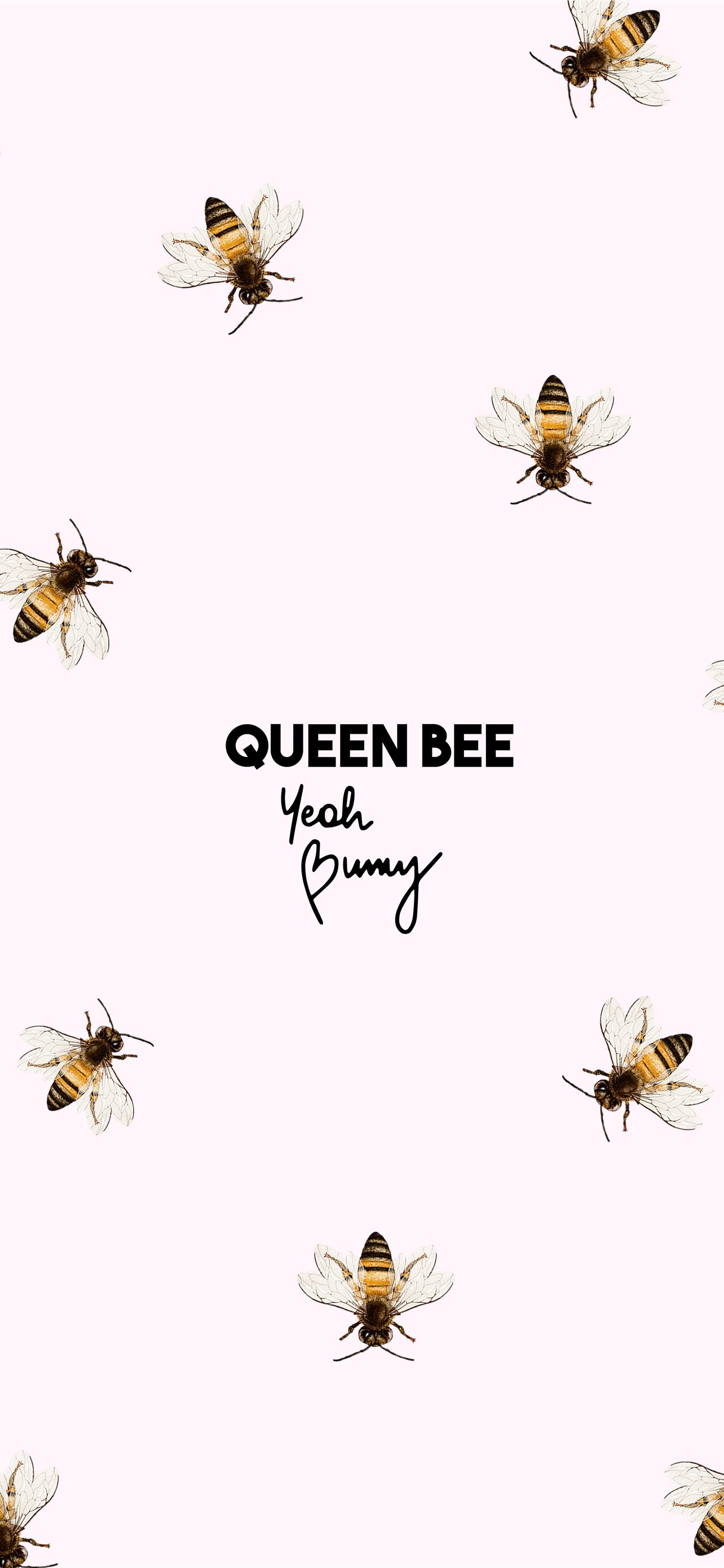 honey bee iPhone wallpaper 