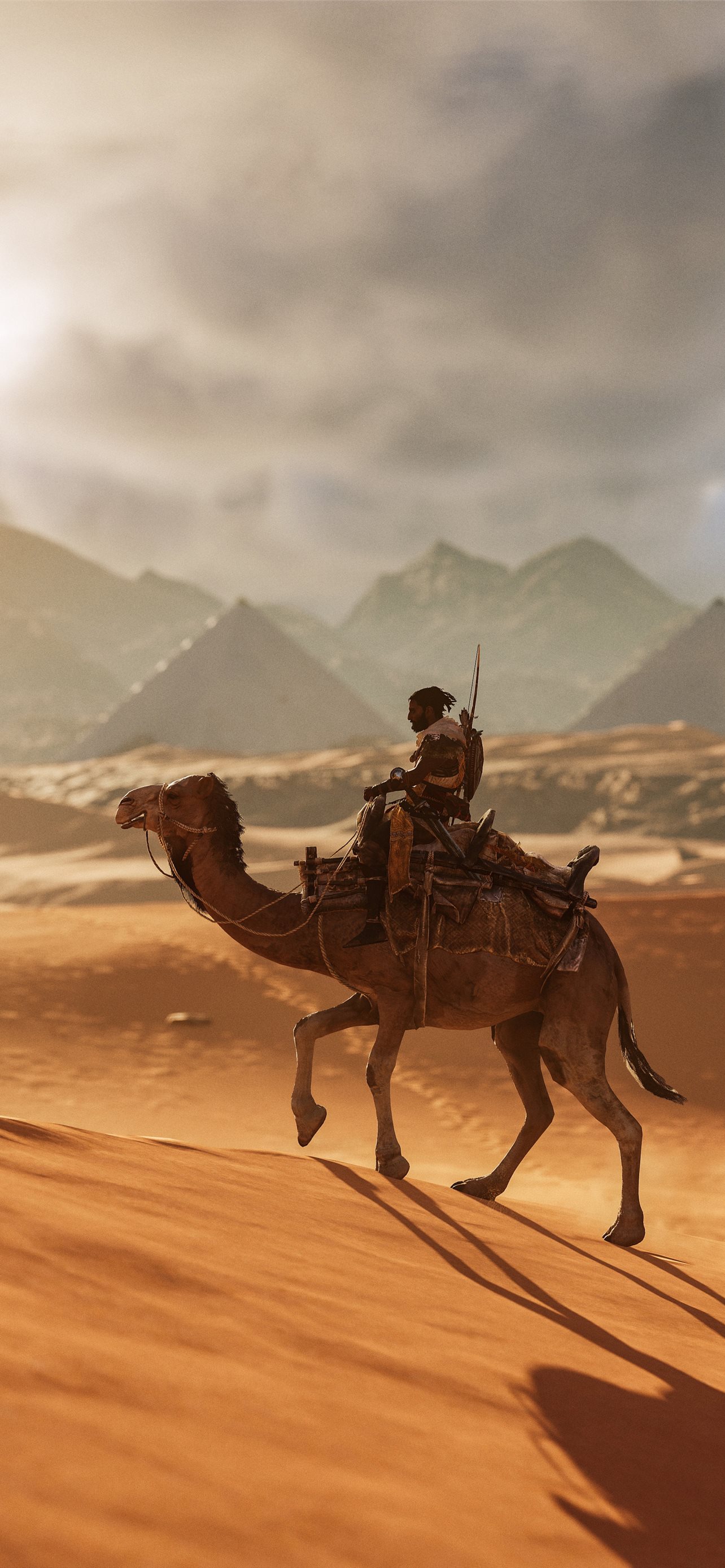 Wallpaper desert camel pyramid images for desktop section животные   download