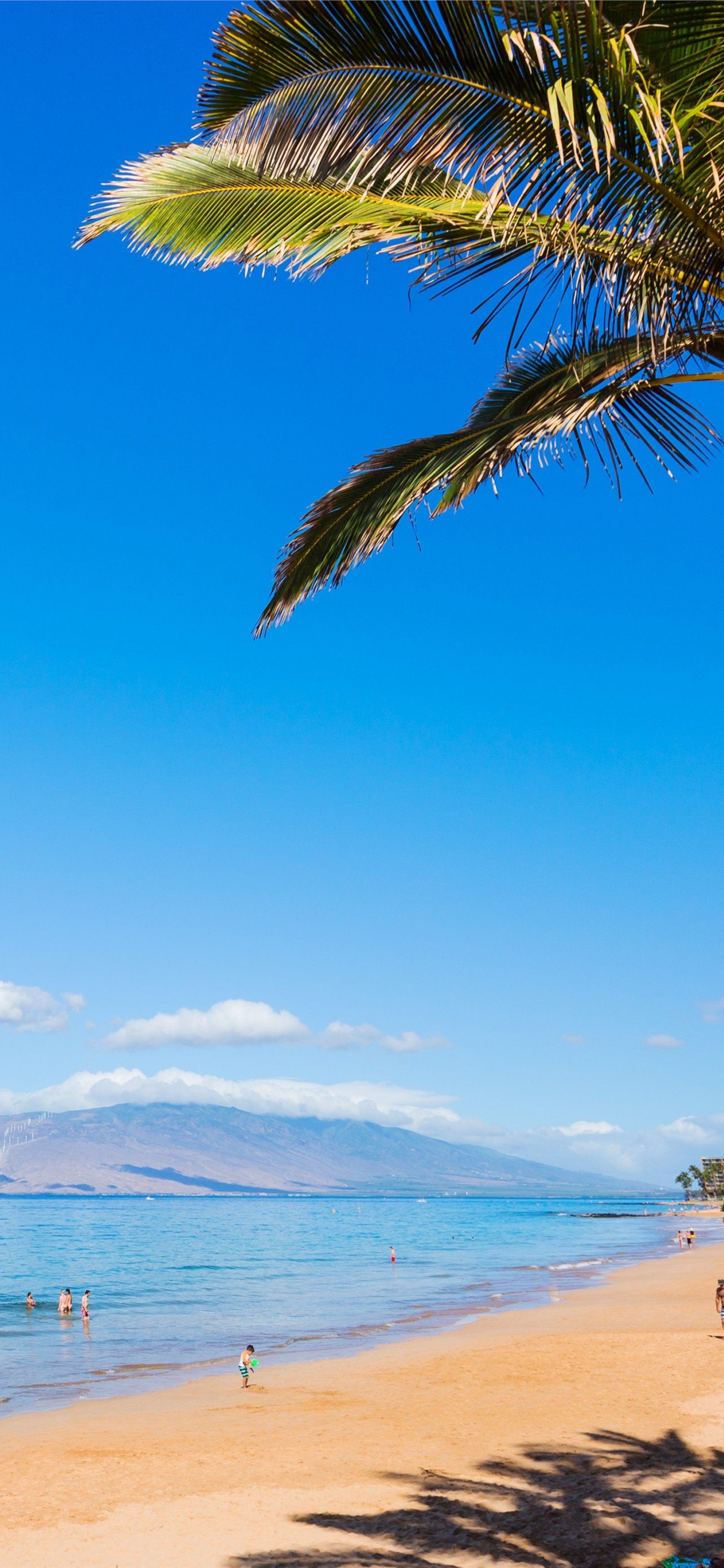 Hawaii Iphone Wallpapers Free Download