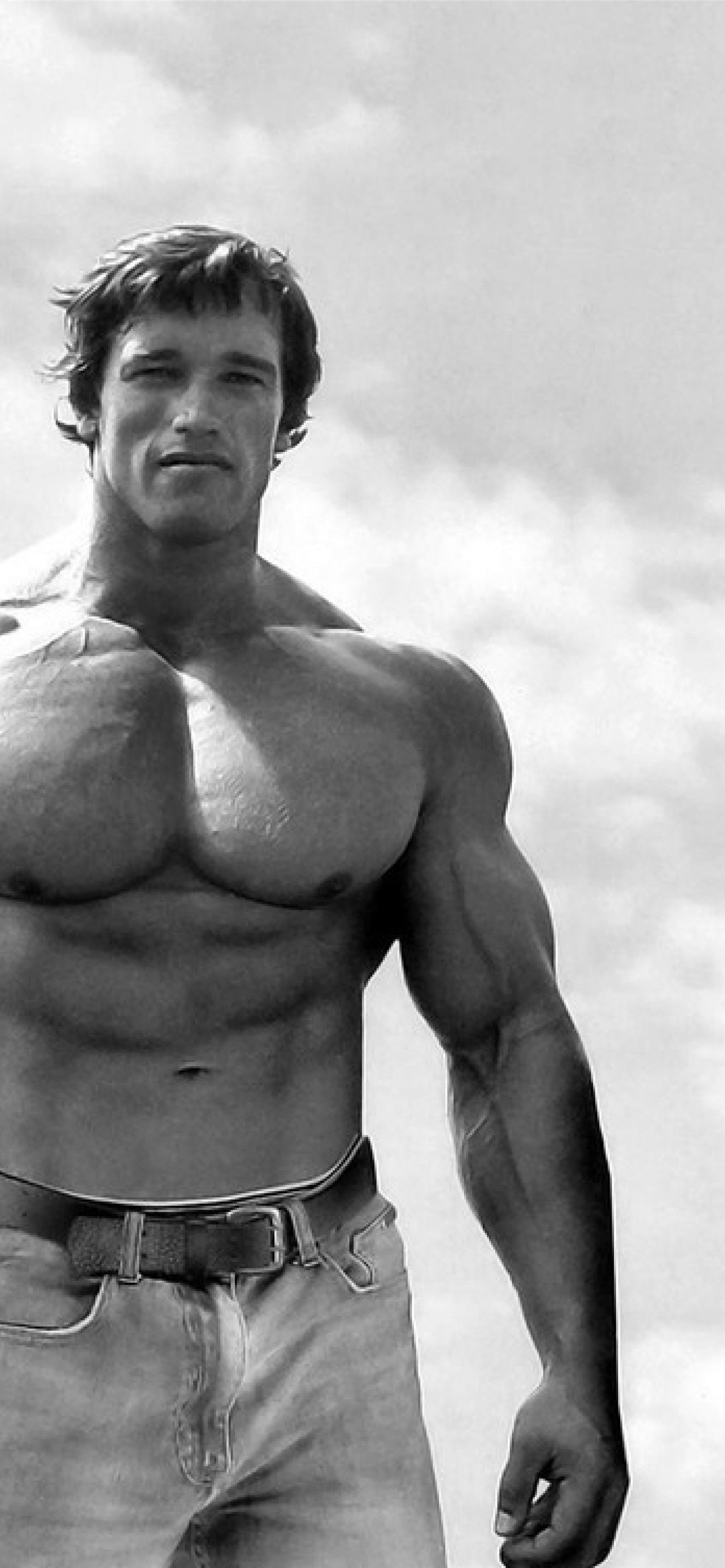 Arnold Schwarzenegger Bodybuilding Bodybuilder Barbell Dumbbells Gyms  Exercising HD Wallpapers  Desktop and Mobile Images  Photos