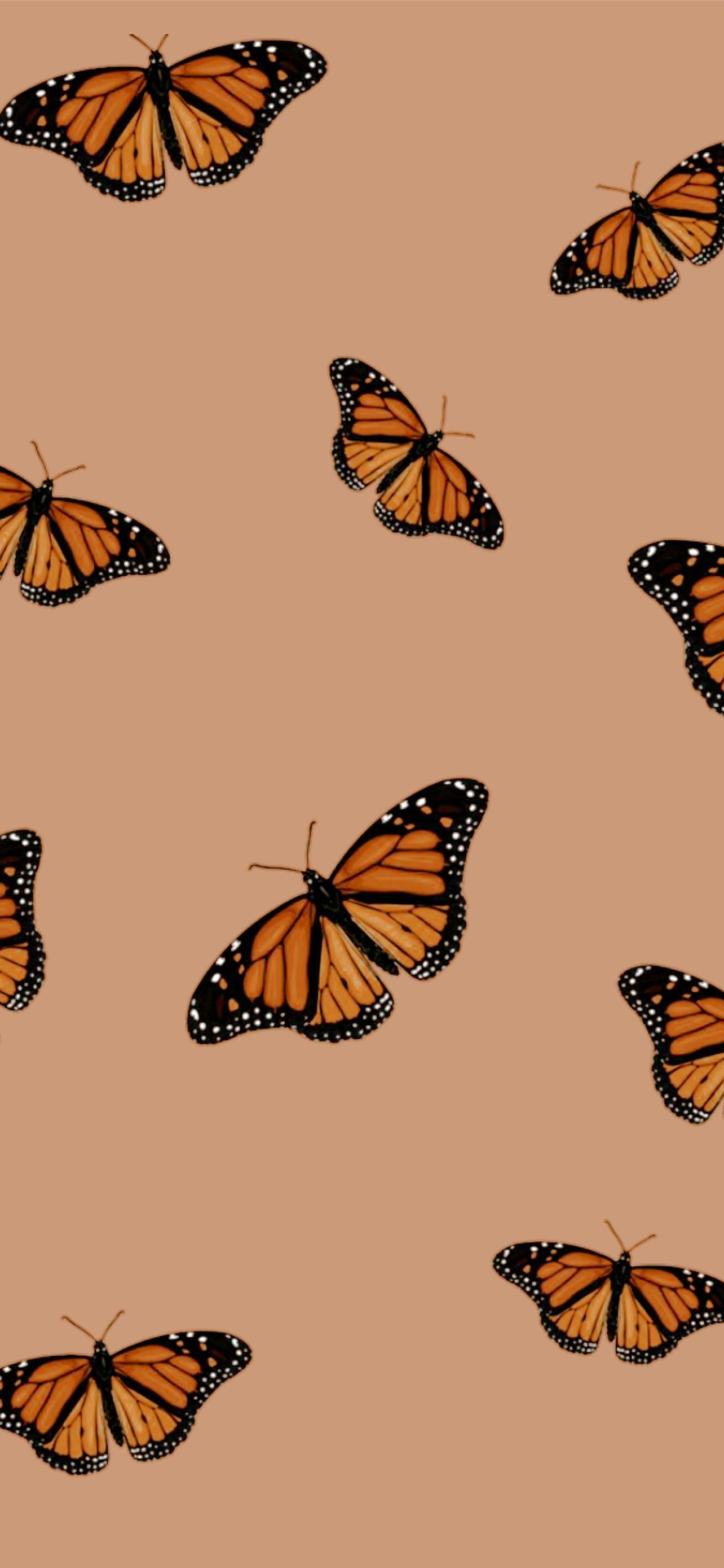 Butterflies IPhone Wallpaper HD IPhone Wallpapers Wallpaper Download   MOONAZ