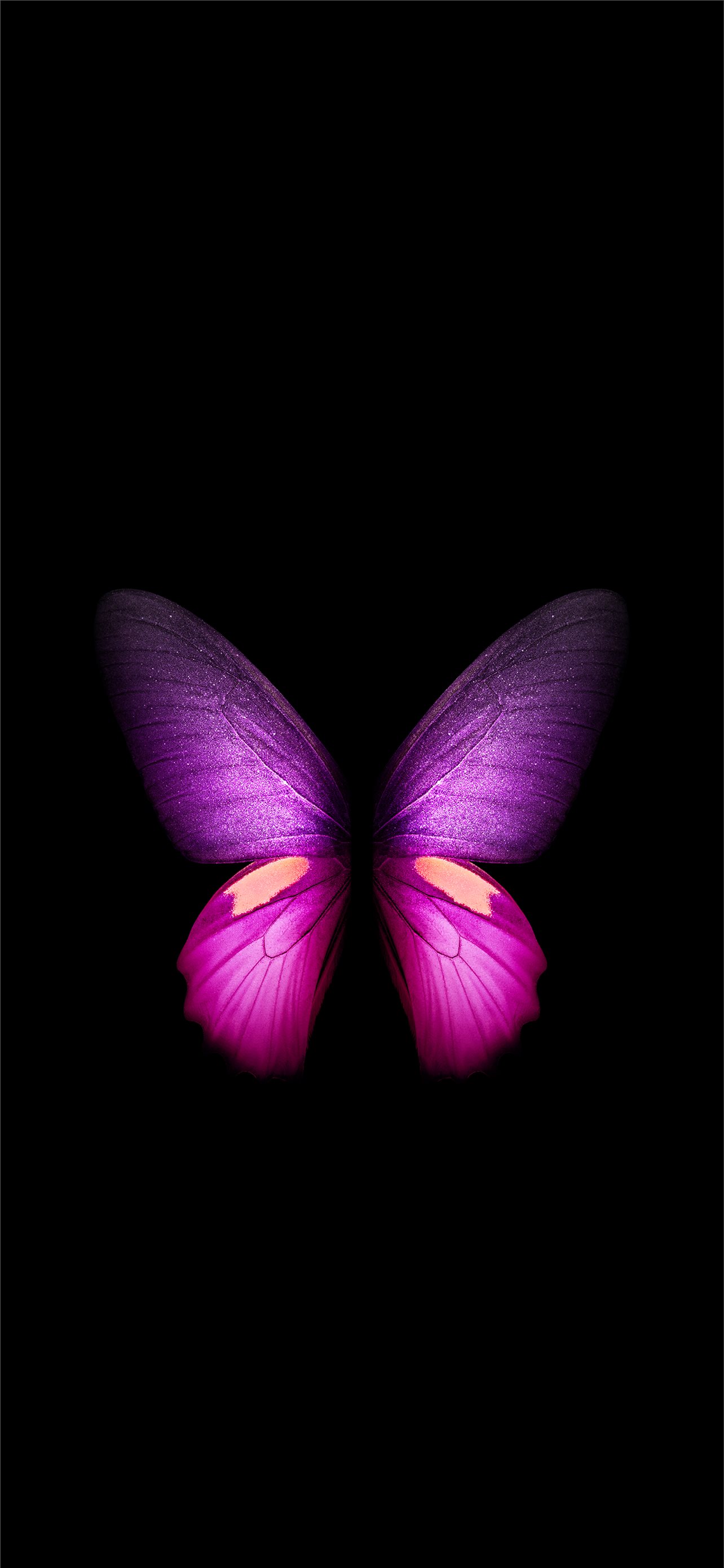 pink butterfly background  Pink glitter wallpaper Pink wallpaper girly Pink  wallpaper iphone