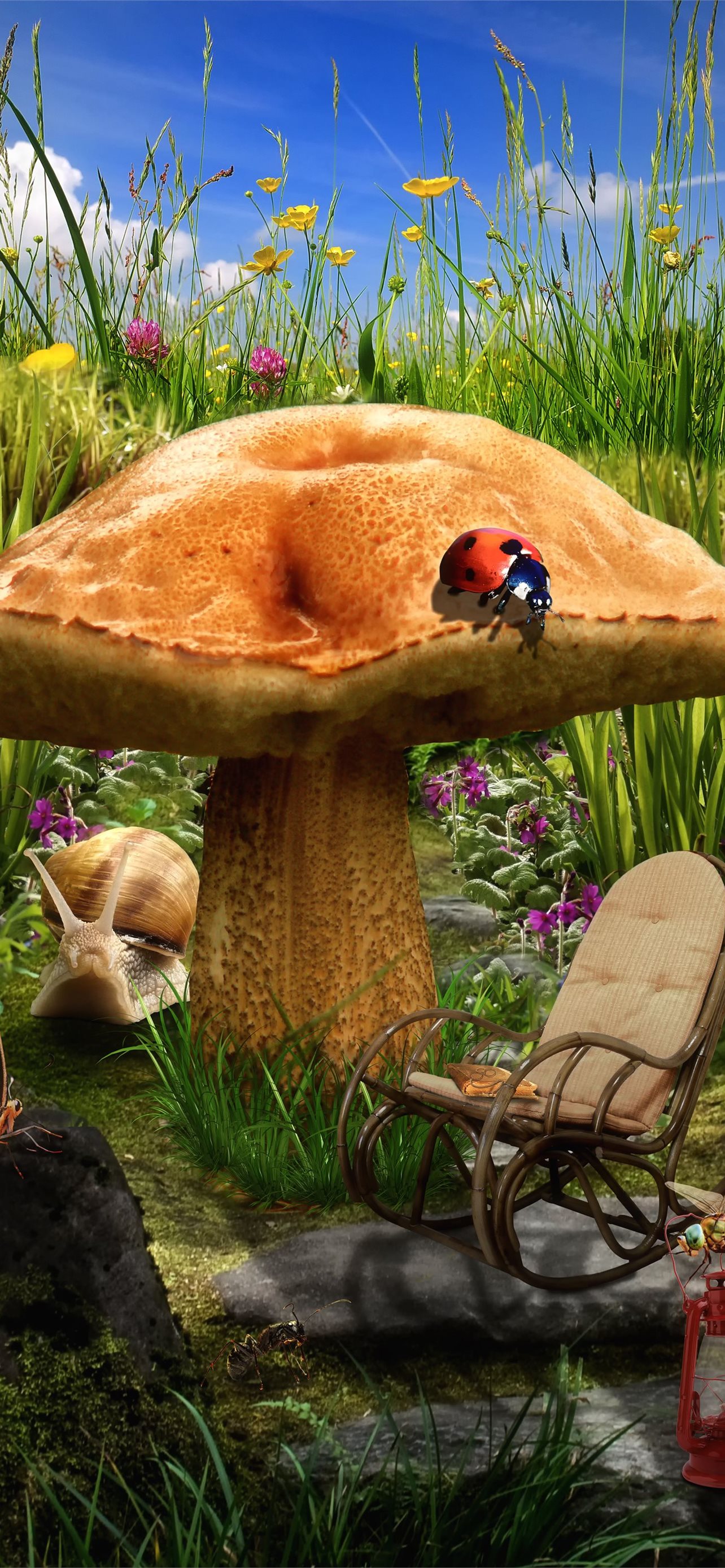 mushrooms iPhone wallpaper 